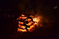 /album/fotogaleria/a265874-4117170859320-1542446324-o-jpg/