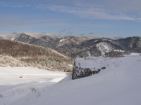 /album/fotogaleria/a615444-4775376714055-262623737-o-jpg/