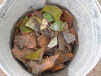 /album/fotogaleria/a325831-3973310902911-1397430270-o-jpg/